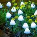 Mushroom String Lights – product image 8